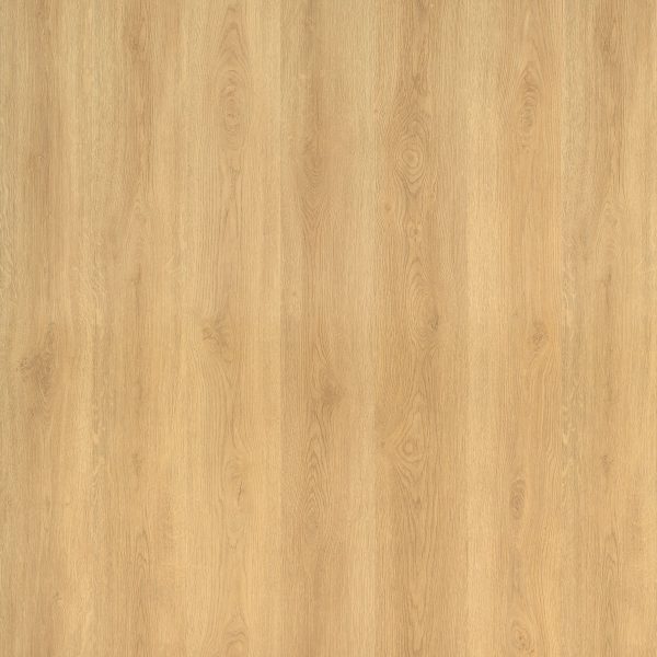 Peli City Laminat Parke 8mm İzmir Meşe CT-000