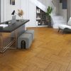 Dendro Lamine Parke Atelier Andromeda D20