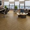 Dendro Lamine Parke Chevron & Herringbone Smyrna D78
