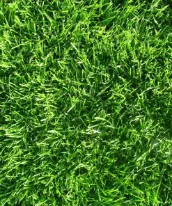 50 mm Suni Çim Halı