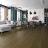 Dendro Lamine Parke Planks & Pure Line İstlada D87